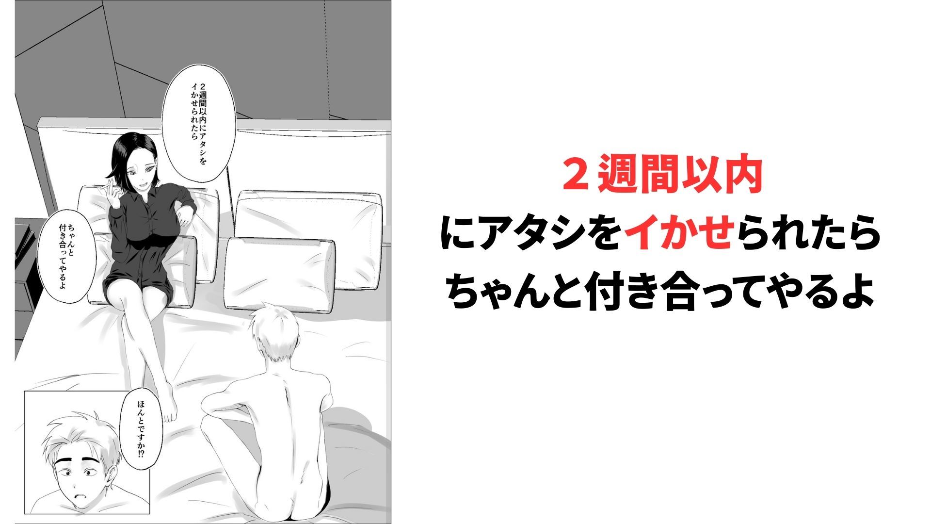 メインサンプル