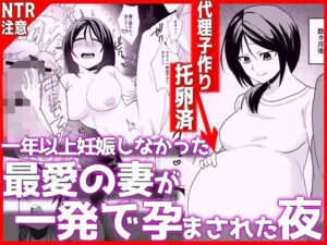 1年以上妊娠しなかった最愛の妻が一発で孕まされた夜 アイキャッチ画像 【ムフフな同人データベース】